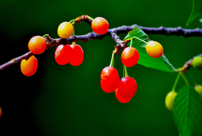 ʨӷֳ20110514 075.jpg