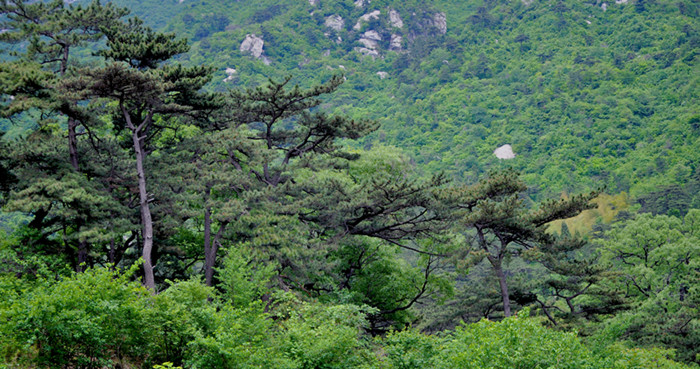 ʨӷֳ20110514 002.jpg