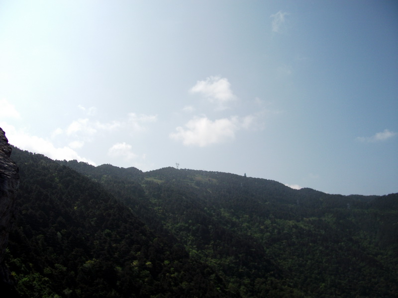 dscf0597.jpg