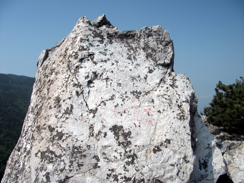 dscf0600.jpg