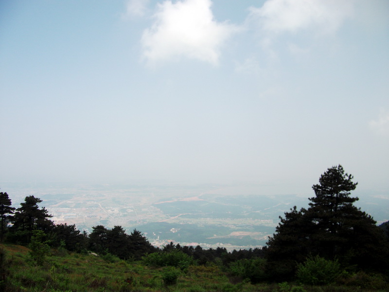 dscf0603.jpg
