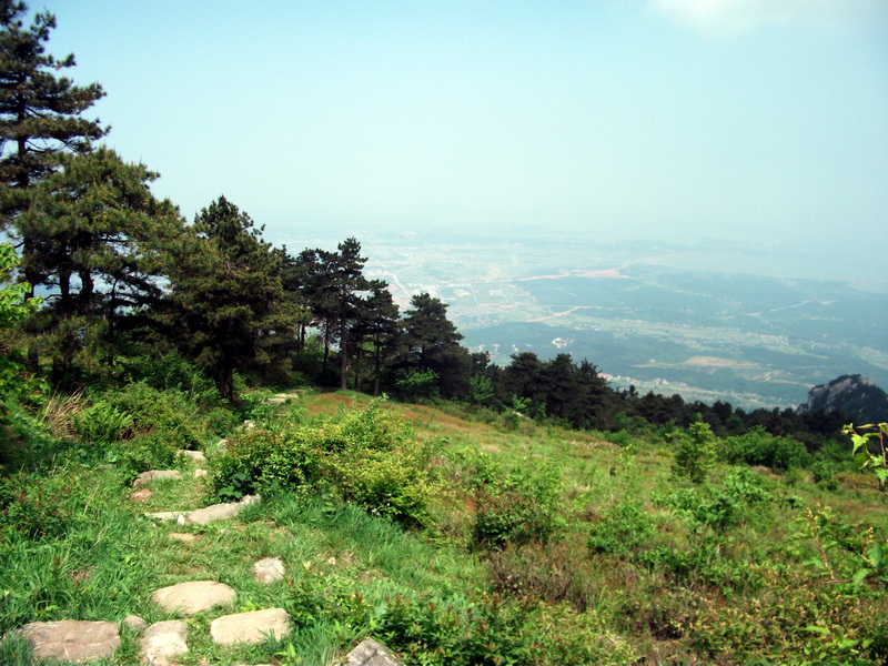 dscf0604.jpg