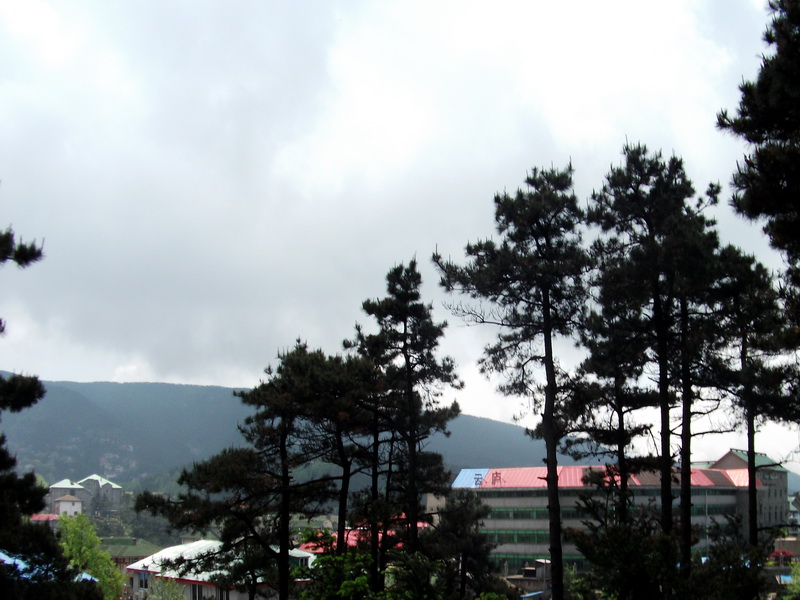 dscf0606.jpg
