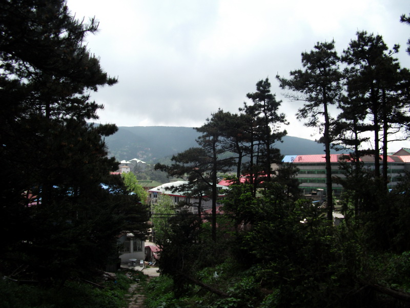 dscf0607.jpg