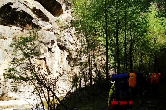 neo_img_dsc00924.jpg