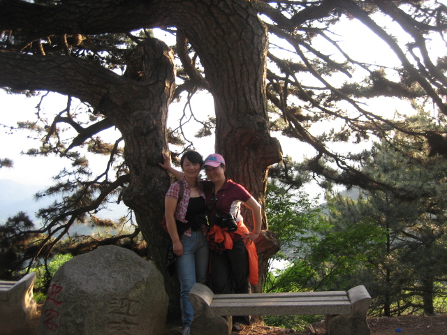 Ƭ 010.jpg