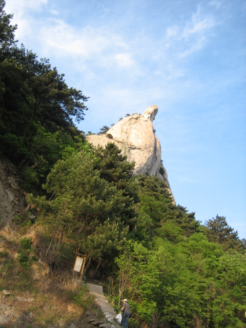 Ƭ 012.jpg