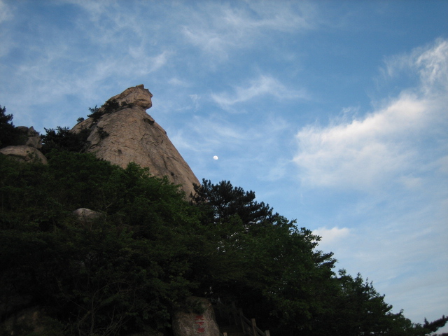 Ƭ 022.jpg