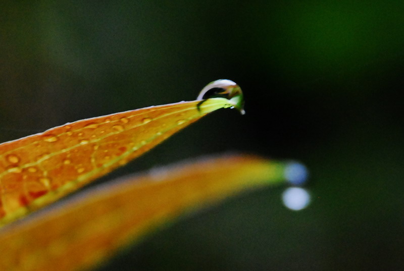dsc_0345.jpg