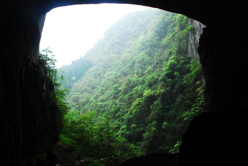 dsc_0396.jpg
