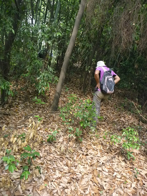 p1060335_.jpg