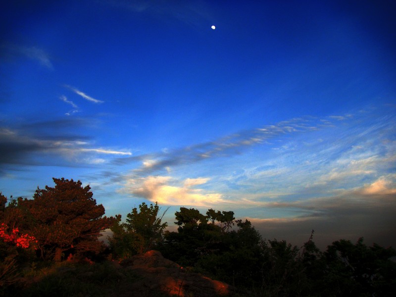 neo_img_dsc01294.jpg