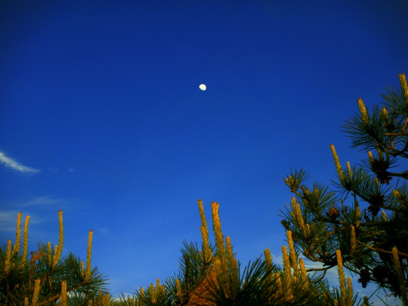 neo_img_dsc01289.jpg