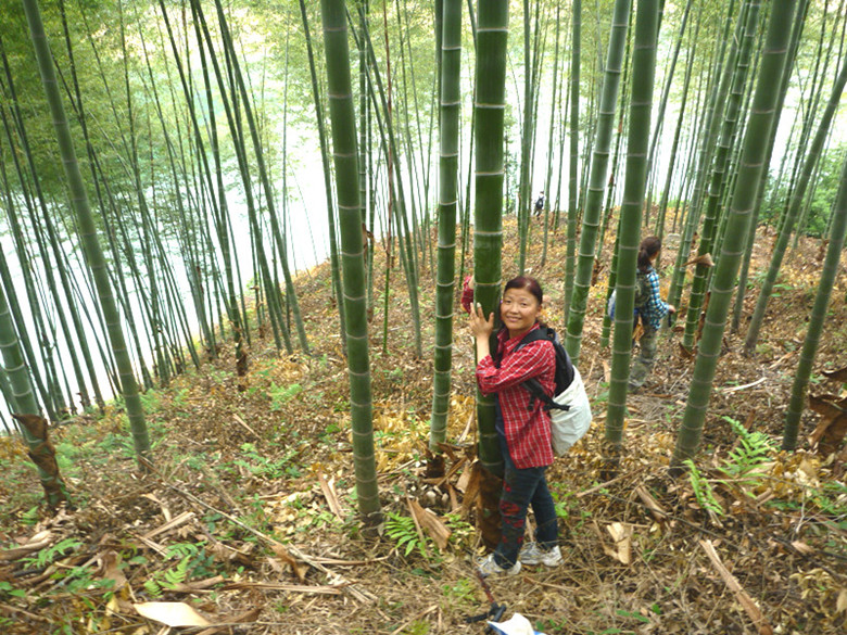 p1060355__.jpg