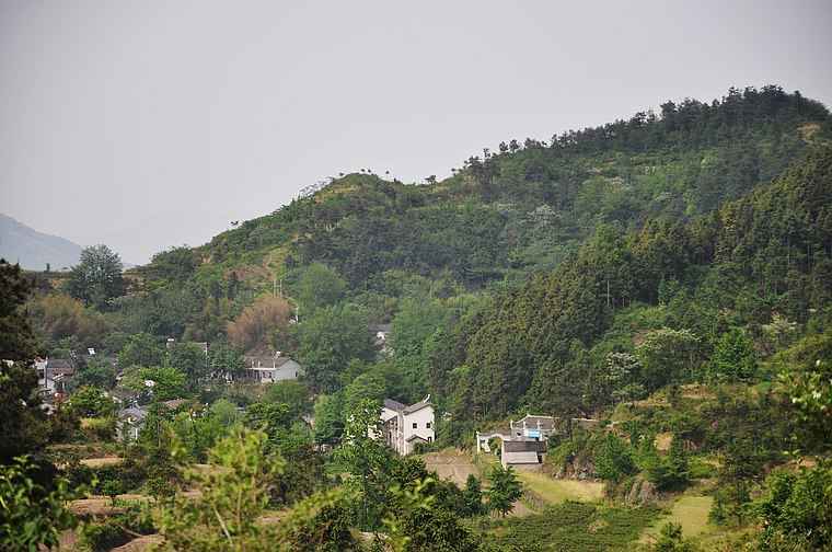 dsc_0630.jpg