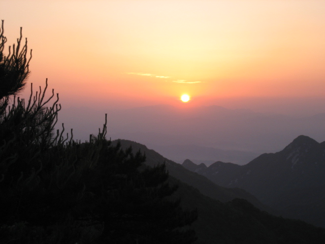 Ƭ 049.jpg