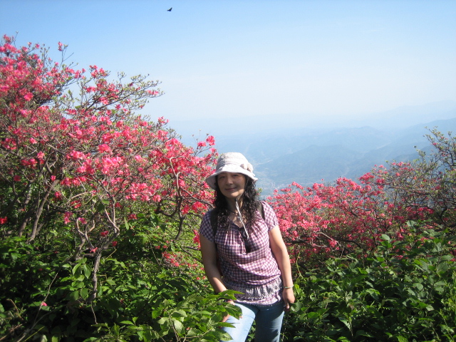 Ƭ 089.jpg