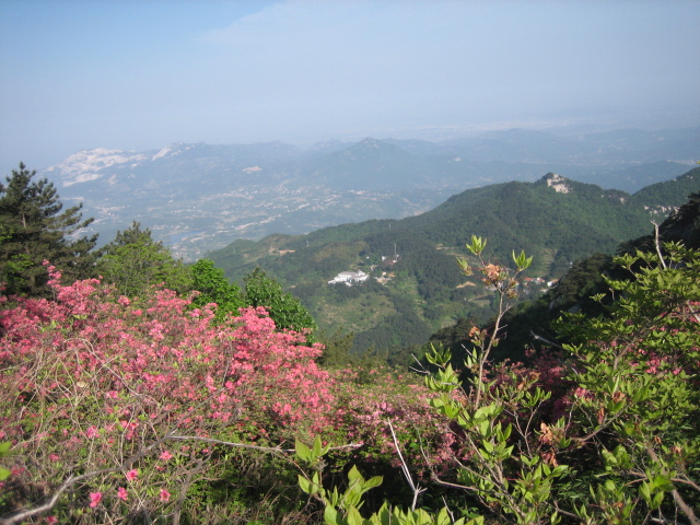 Ƭ 072.jpg