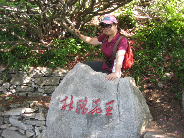 Ƭ 094.jpg