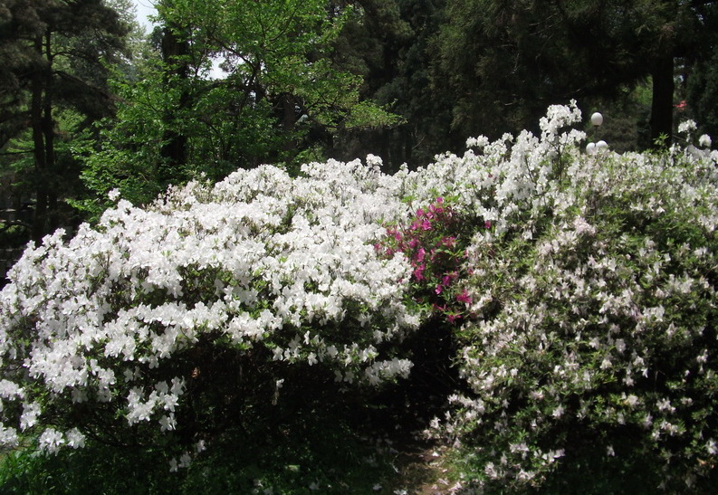 dscf0625.jpg