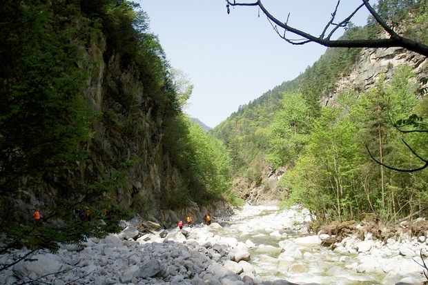 neo_img_dsc00942.jpg