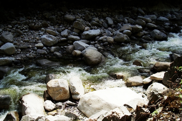neo_img_dsc00940.jpg