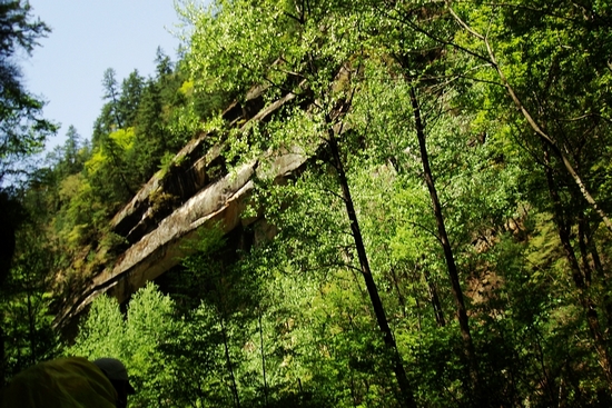 neo_img_dsc00963.jpg