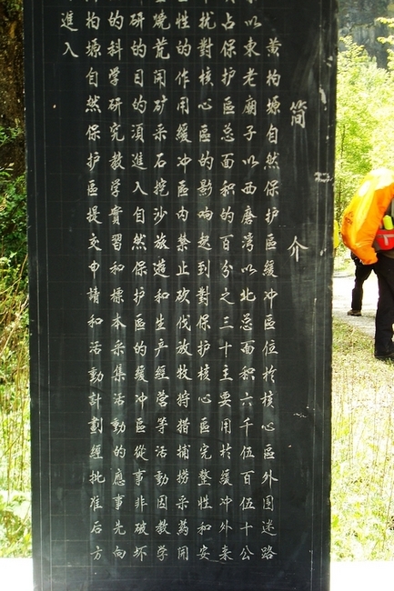 neo_img_dsc00966.jpg