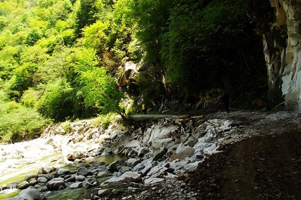 neo_img_dsc00970.jpg