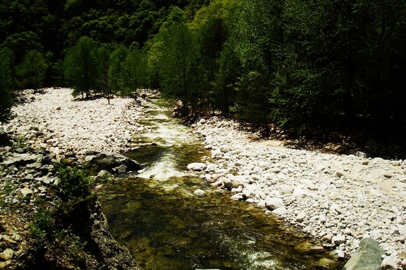 neo_img_dsc00973.jpg