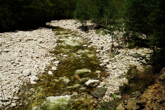 neo_img_dsc00974.jpg