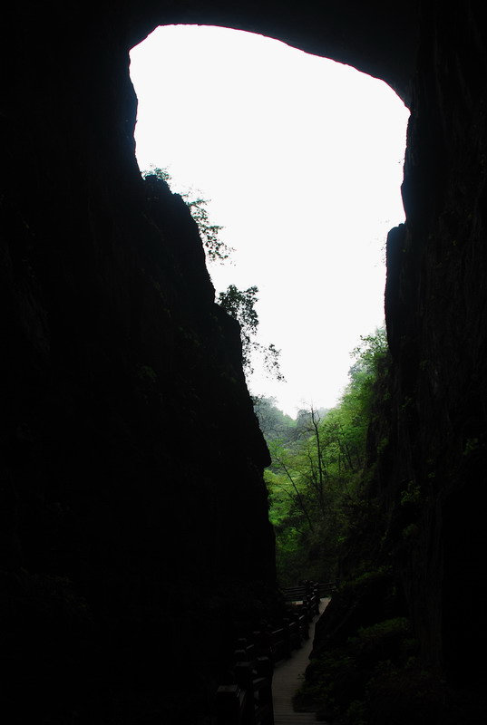 dsc_0489.jpg