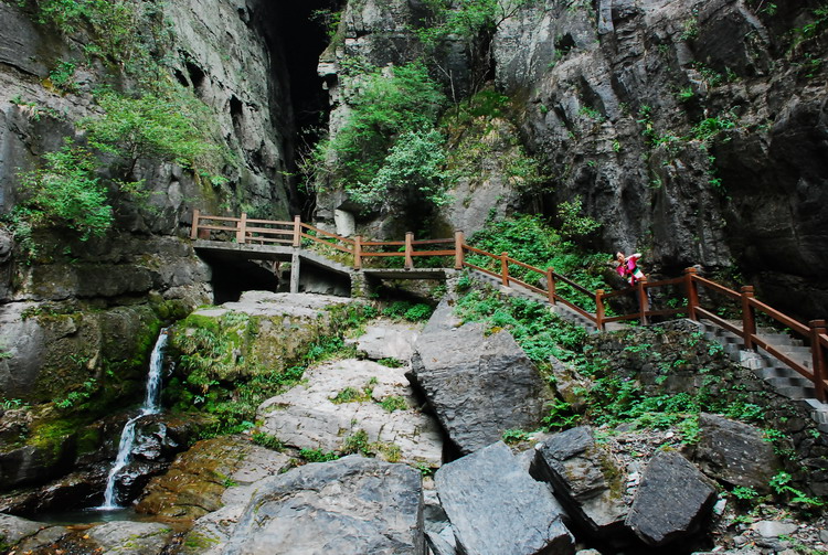 dsc_0495.jpg