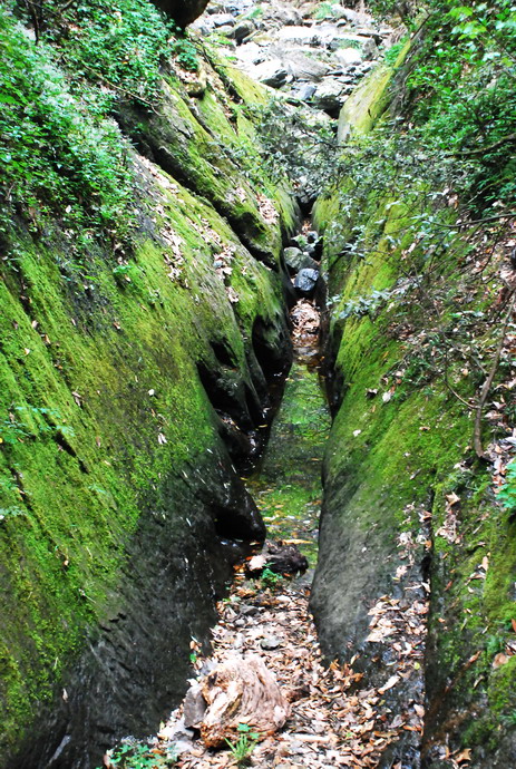 dsc_0503.jpg