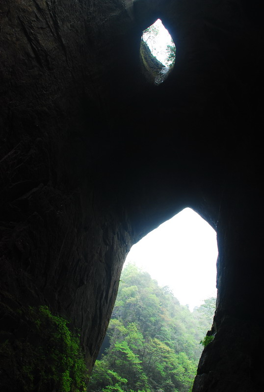 dsc_0590.jpg