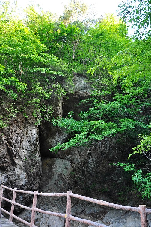 dsc_0729.jpg