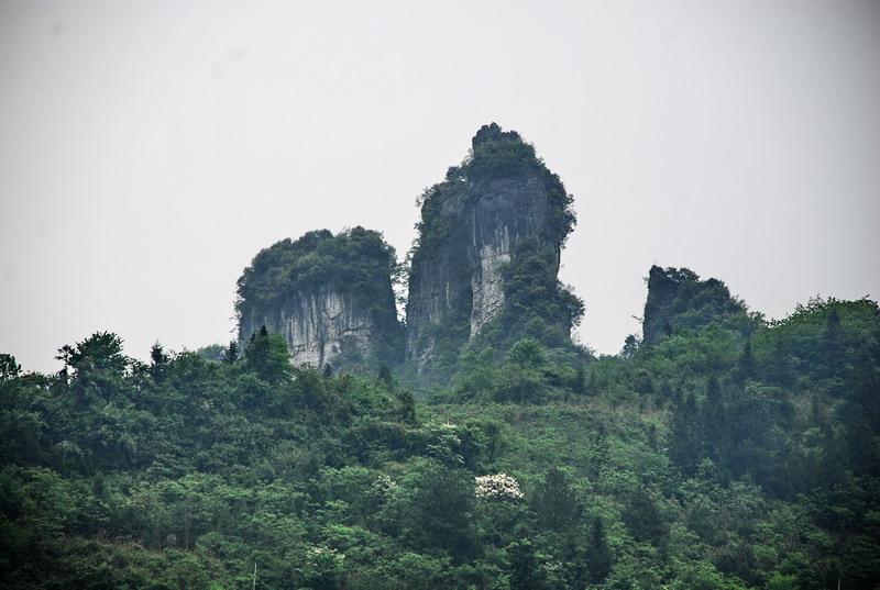 dsc_0680.jpg