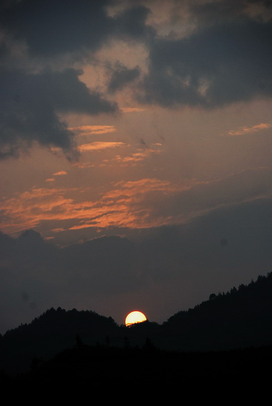 dsc_0726.jpg