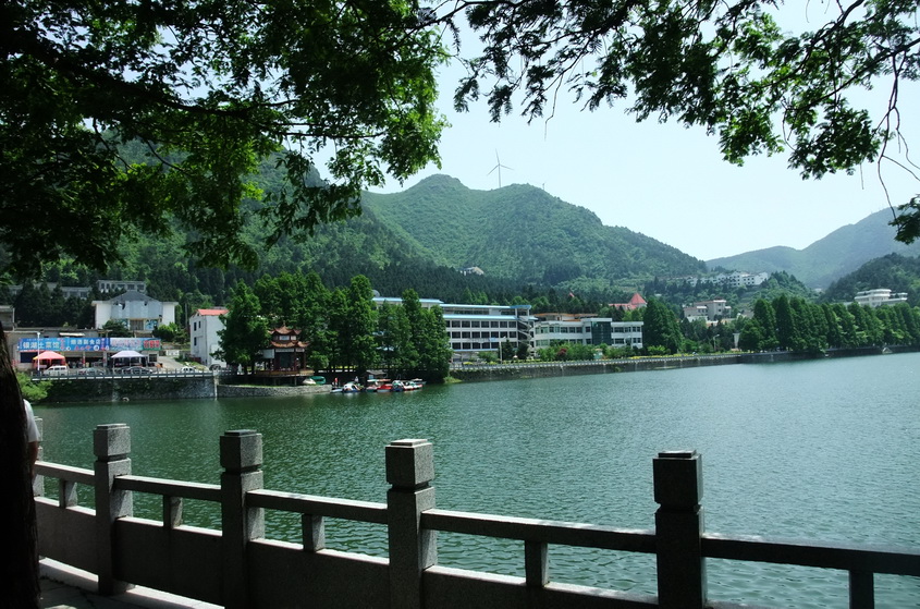 dscf1311.jpg-1.jpg