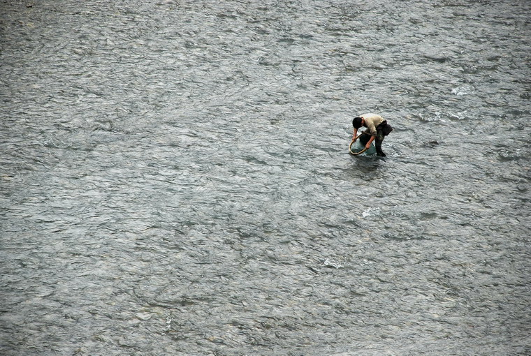 dsc_0665.jpg