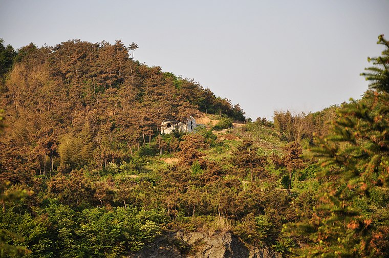 dsc_0818.jpg