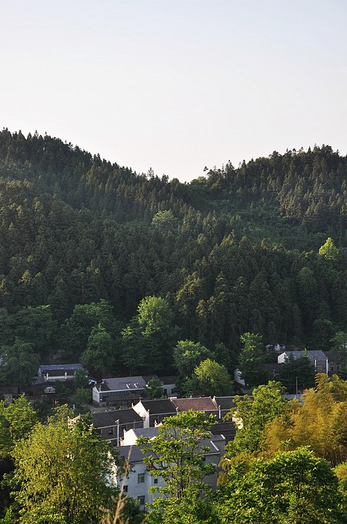 dsc_0824.jpg