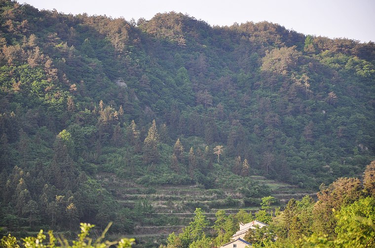 dsc_0819.jpg