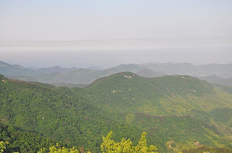 dsc_0854.jpg