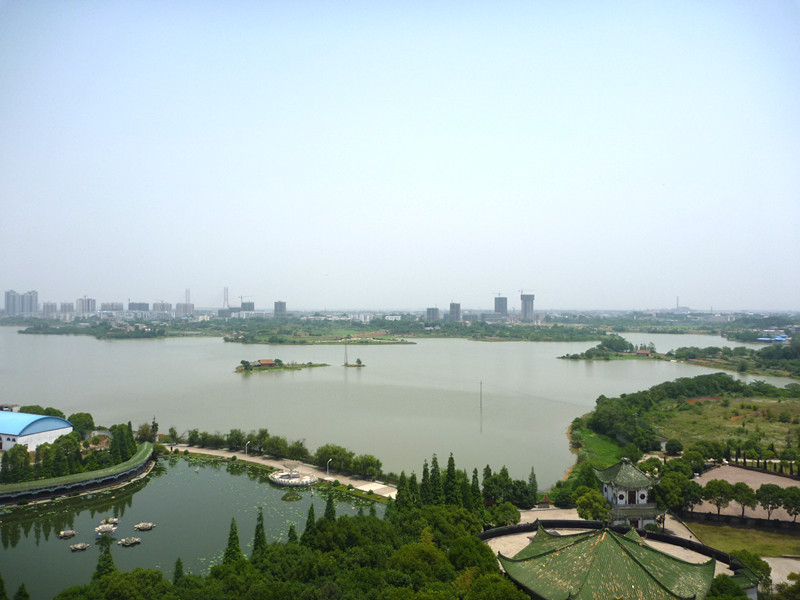 p1060490_.jpg