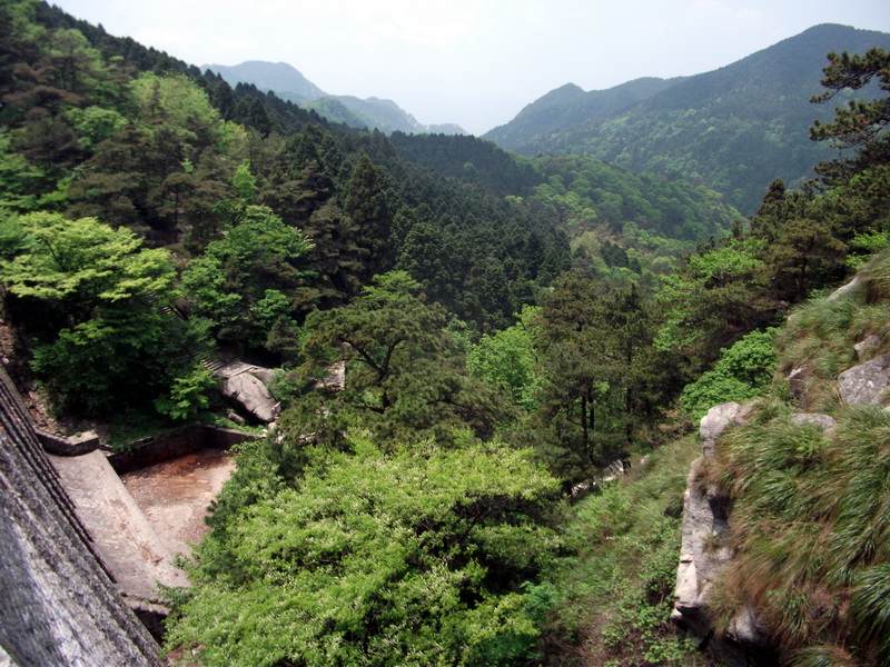 dscf0633.jpg