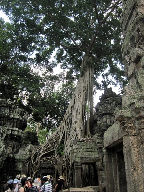 img_1876.jpg