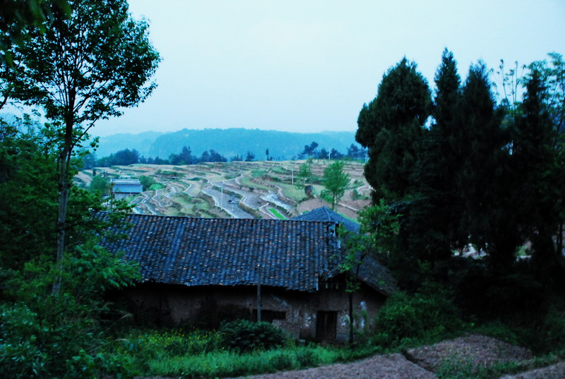 dsc_0771.jpg
