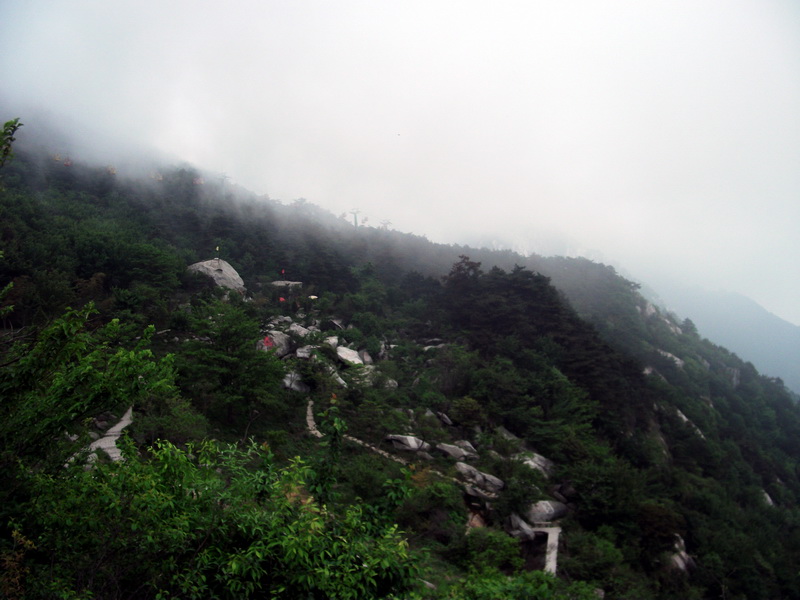 dscf0647.jpg
