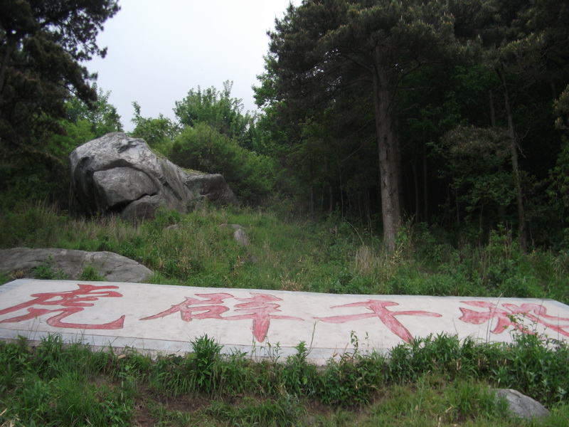 dscf0648.jpg